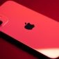Cara cek garansi iPhone penting diketahui untuk memastikan perangkat masih mendapatkan layanan perbaikan resmi dari Apple. (Sumber: Pexels/Tessa Charles)