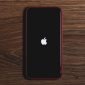 iPhone dapat mengalami peningkatan suhu saat menjalankan aplikasi berat, digunakan sambil mengisi daya, atau berada di lingkungan bersuhu tinggi. (Sumber: Pexels/Mateusz Taciak)