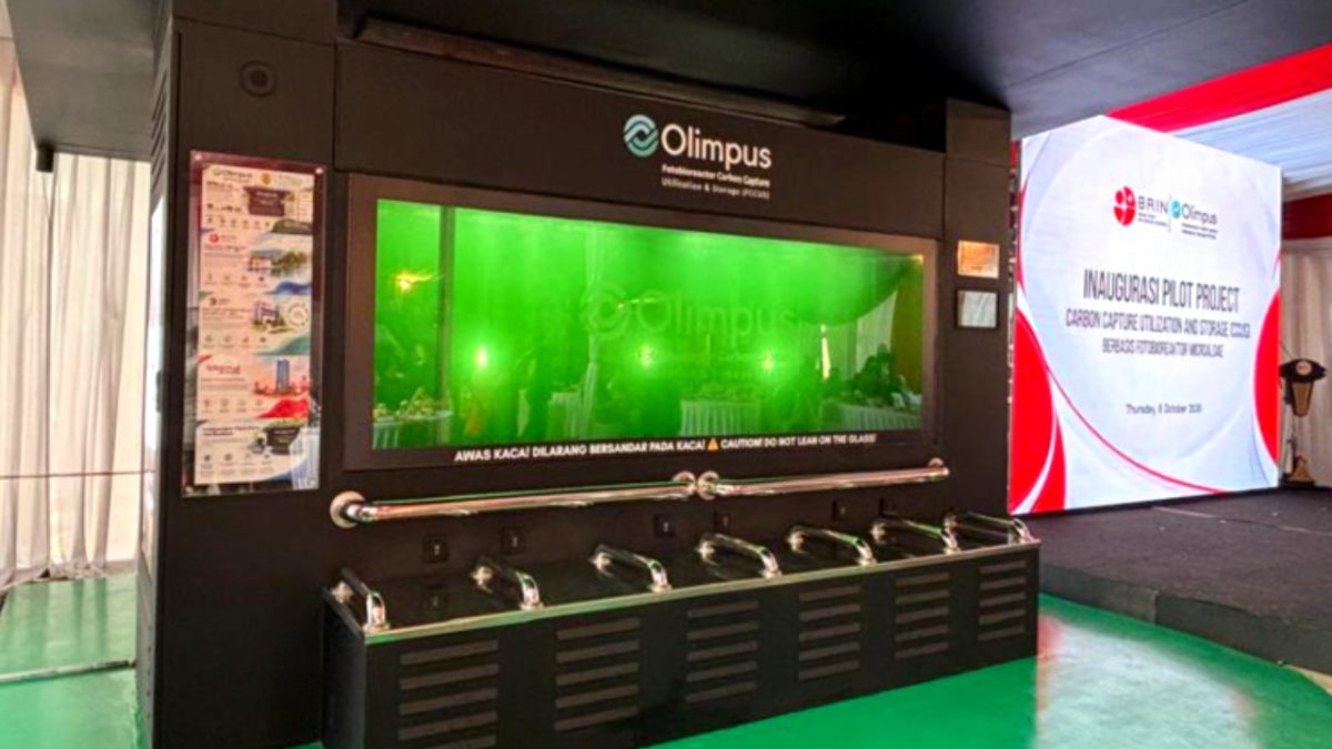 Perangkat penangkap karbon berbasis mikroalga, Olimpus Fotobioreactor Carbon Capture Utilization & Storage Apollo 1.0 yang dikembangkan BRIN dan PT ASI. (Sumber: Techrunner/Dzikrillah Tauzirie)